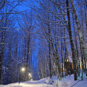 일본 삿포로 닝글 테라스 & 비에이 청의 호수 & 시라히게 폭포 일루미네... 솔직 후기 | 실사용자 리뷰 분석 - 상품 이미지 2