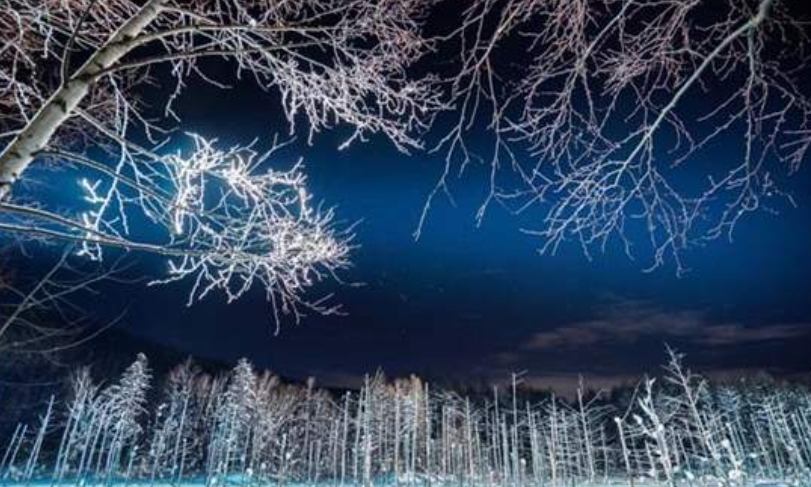 일본 삿포로 닝글 테라스 & 비에이 청의 호수 & 시라히게 폭포 일루미네이션 투어 - 상세 이미지 5