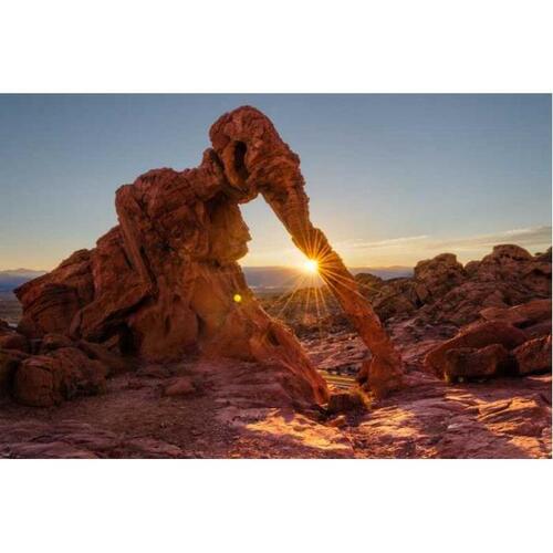 미국 라스베가스 출발 불의 계곡 주립공원 투어 솔직 후기 | 실사용자 리뷰 분석 - 대표 이미지