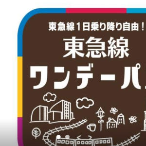일본 도큐선 일일 패스 솔직 후기 | 실사용자 리뷰 분석 - 상품 이미지 1