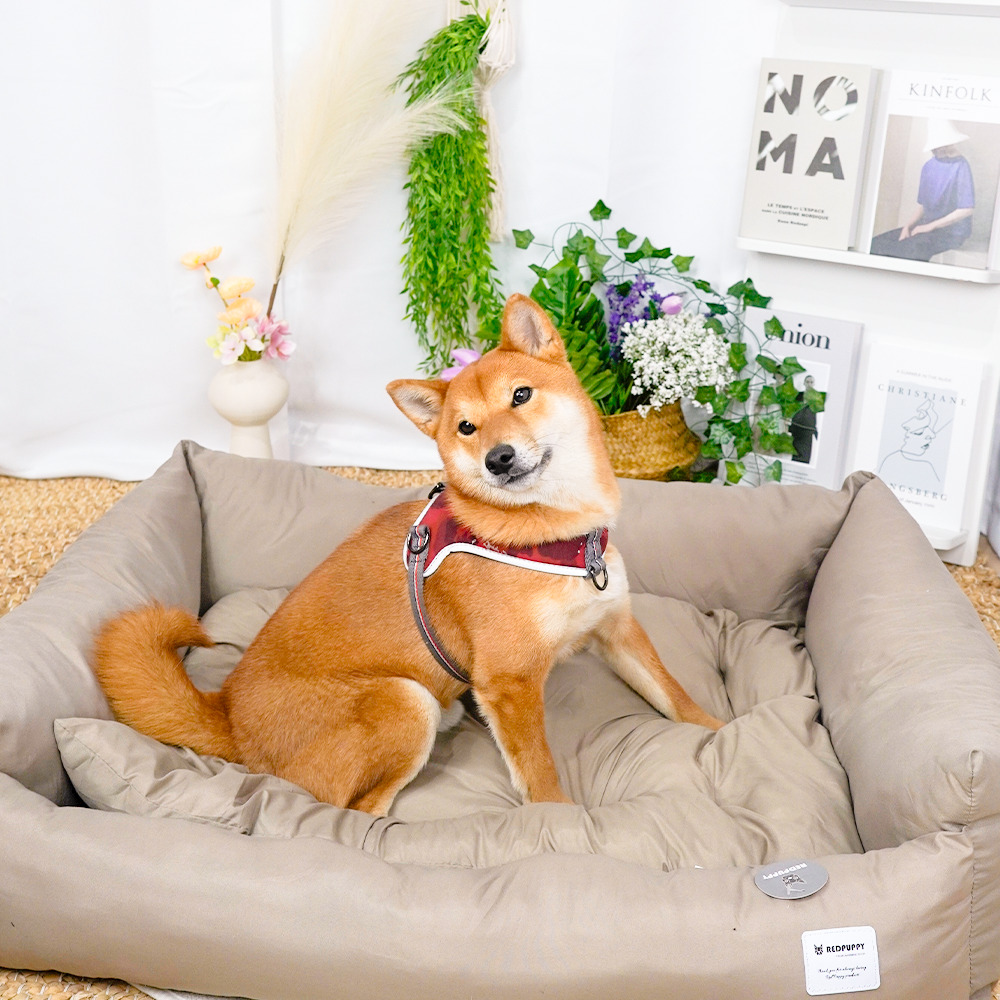 개과천선 유크 강아지 쿠션 방석 사계절 사각 쿠션 침대 애견 꿀잠 방석 다견다묘 대형견