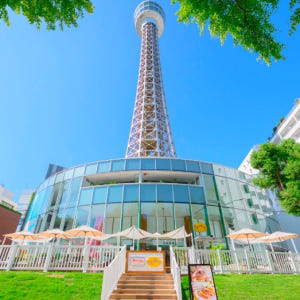 일본  요코하마 건담 팩토리 & 요코하마 마린타워 입장권 세트 솔직 후기 | 실사용자 리뷰 분석 - 상품 이미지 4