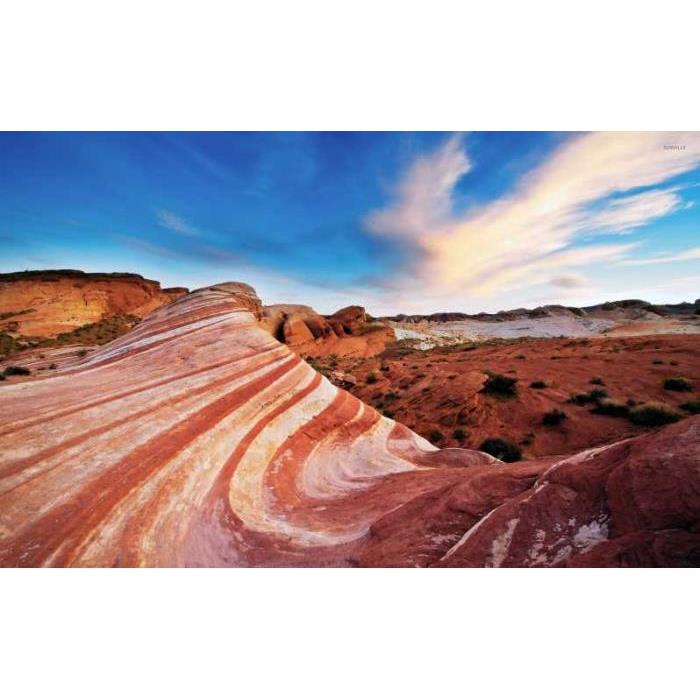 미국 라스베가스 출발 불의 계곡 주립공원 투어 이미지 4