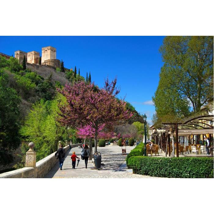 스페인 그라나다 가이드와 함께하는 그라나다 알바이신과 사크로몬테 도보 투어 (성당 방문 포함) 이미지 2