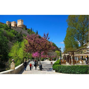 스페인 그라나다 가이드와 함께하는 그라나다 알바이신과 사크로몬테 도보 투... 솔직 후기 | 실사용자 리뷰 분석 - 상품 이미지 2