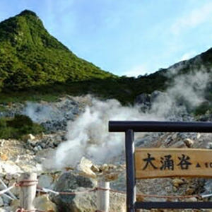 일본 하코네 일일 투어 & 해적 크루즈 (도쿄 출발) 솔직 후기 | 실사용자 리뷰 분석 - 상품 이미지 2