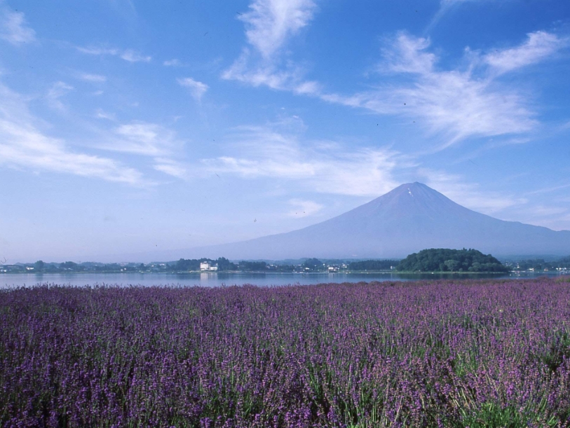 일본  후지 하코네 패스 솔직 후기 | 실사용자 리뷰 분석 - 대표 이미지