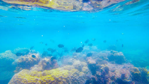 푸꾸옥 스피드보트 투어 선상에서 찍은 사진