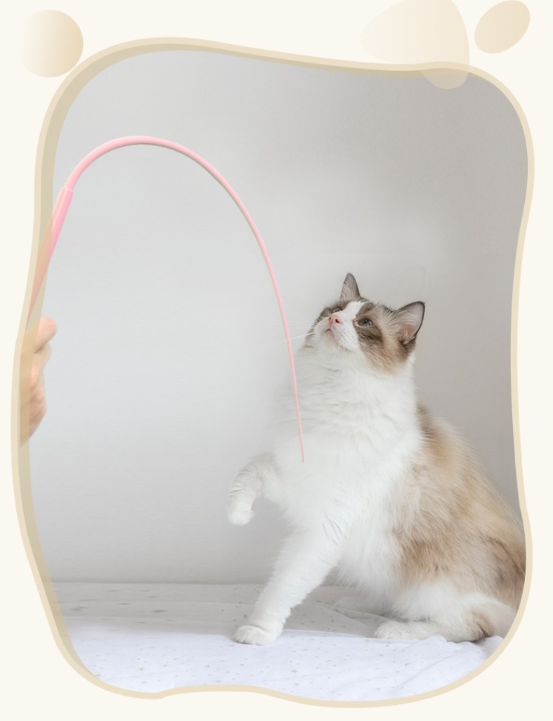 고양이 낚시대 쥐꼬리 고양이 장난감 리필 스틱 꼬리 장남감 고무 낚싯대 실리콘 - 상세 이미지 5