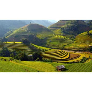 베트남 사파 무옹호아 계곡 트레킹 및 현지 민족 마을 투어 솔직 후기 | 실사용자 리뷰 분석 - 상품 이미지 1