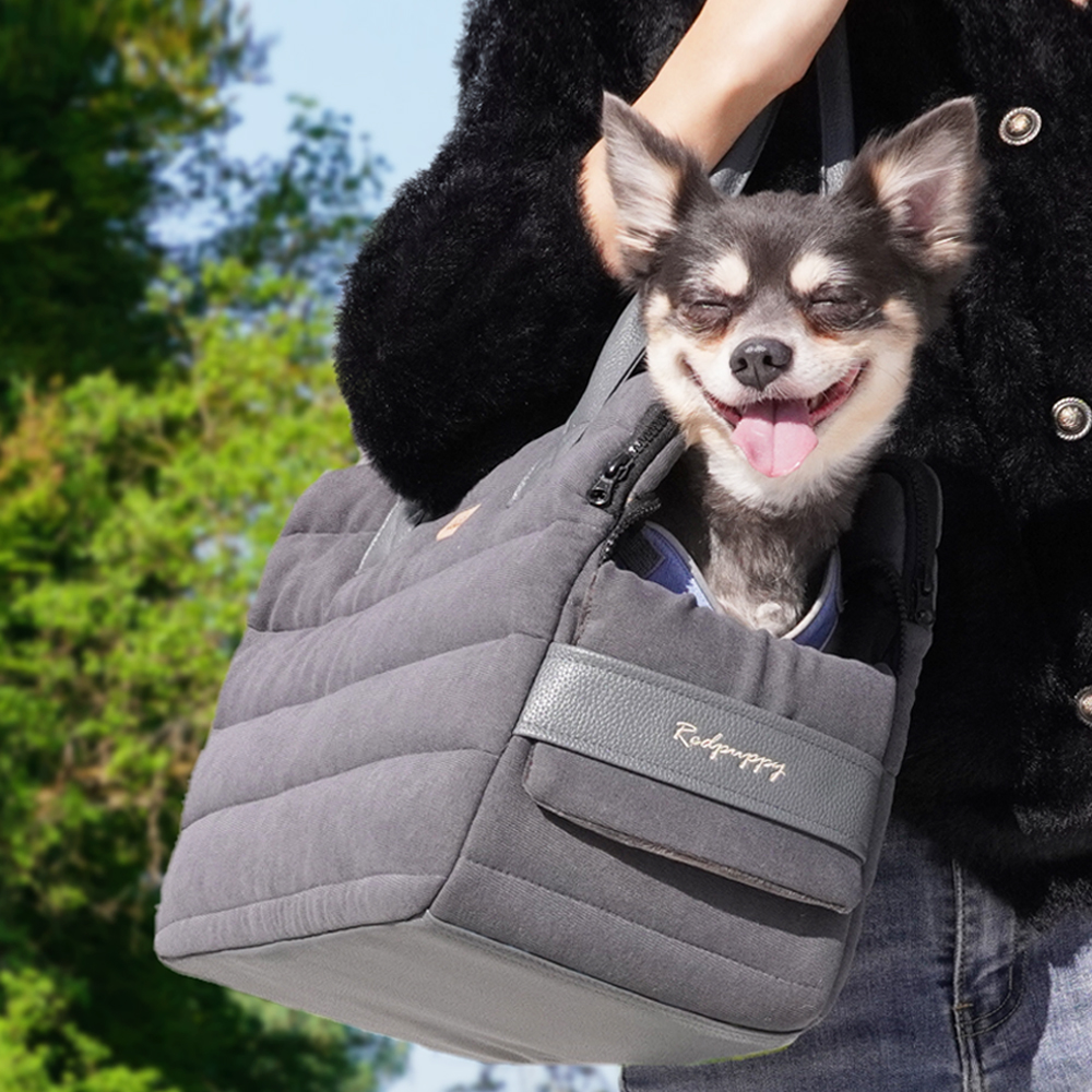 개과천선 윙클 강아지 이동가방 애견 기내용 패브릭 캐리어 이동장 고양이 메쉬창 대중교통 - 상세 이미지 4