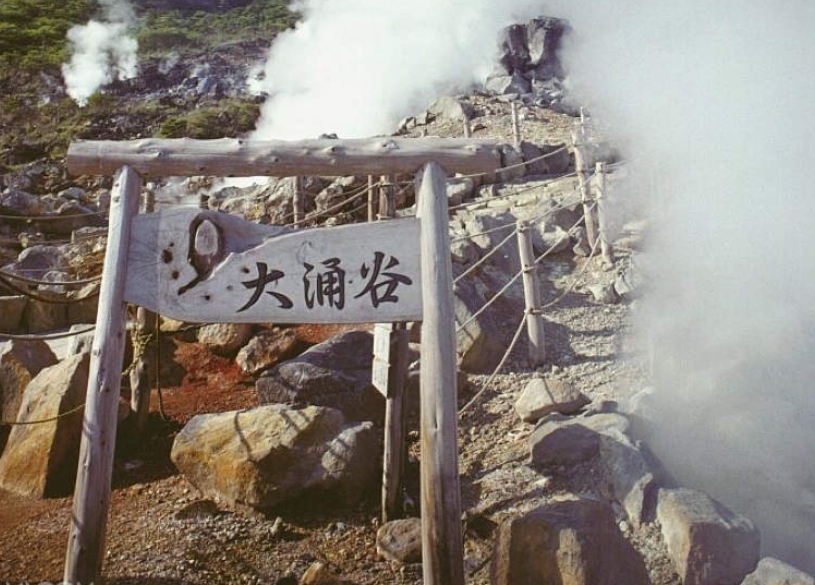 일본  도쿄 후지산 하코네 일일 투어 - 상품 이미지