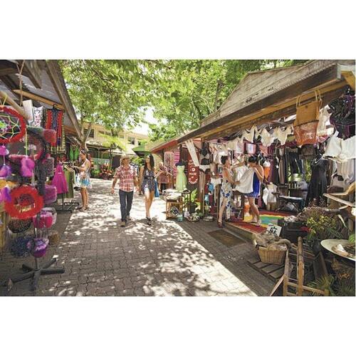 호주 케언즈에서 쿠란다 열대우림으로 떠나는 여행 솔직 후기 | 실사용자 리뷰 분석 - 대표 이미지