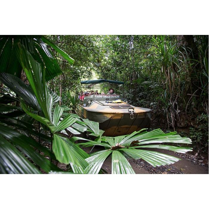 호주 케언즈에서 쿠란다 열대우림으로 떠나는 여행 이미지 4