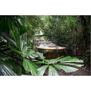 호주 케언즈에서 쿠란다 열대우림으로 떠나는 여행 솔직 후기 | 실사용자 리뷰 분석 - 상품 이미지 4