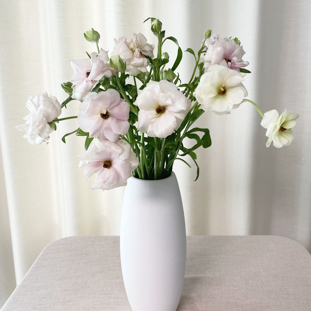 버터플라이 라넌큘러스 꽃다발 꽃배달 싼곳 생화택배 이미지 2