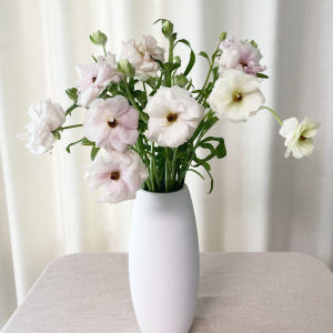 버터플라이 라넌큘러스 꽃다발 꽃배달 싼곳 생화택배 솔직 후기 | 실사용자 리뷰 분석 - 상품 이미지 2