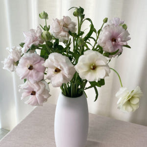 버터플라이 라넌큘러스 꽃다발 꽃배달 싼곳 생화택배 솔직 후기 | 실사용자 리뷰 분석 - 상품 이미지 3