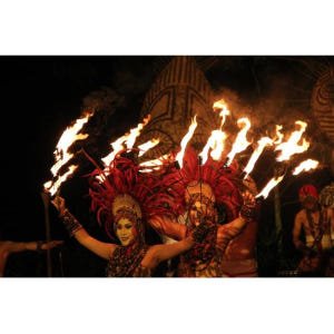 인도네시아 발리 사파리 & 해양 공원 나이트 사파리 솔직 후기 | 실사용자 리뷰 분석 - 상품 이미지 2