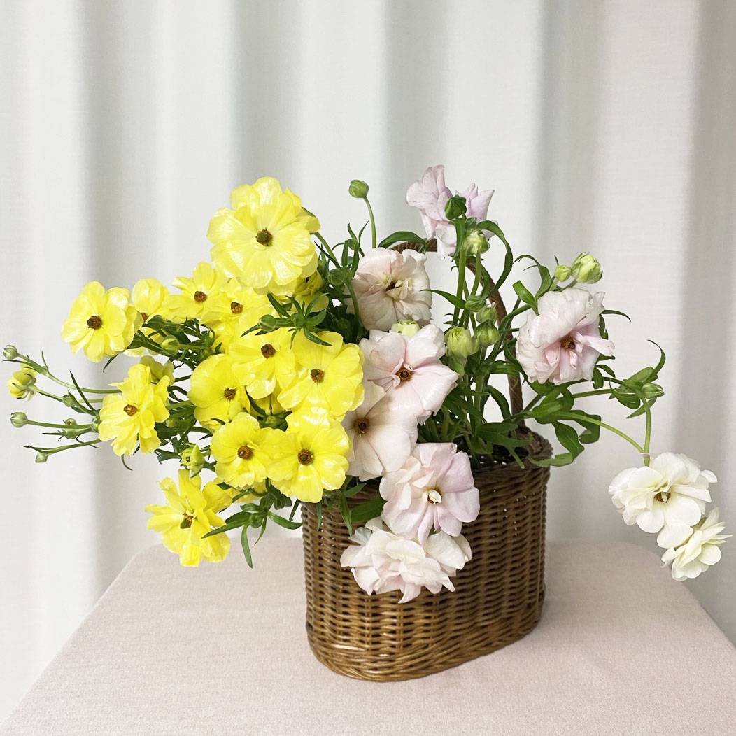 버터플라이 라넌큘러스 꽃다발 꽃배달 싼곳 생화택배 솔직 후기 | 실사용자 리뷰 분석 - 대표 이미지