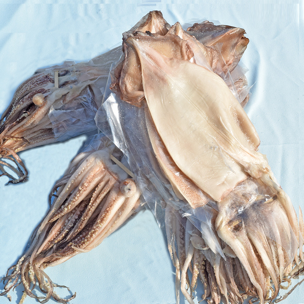 구룡포 반건조 오징어 마른 피데기 파지 파품 1kg, 1개