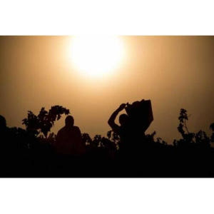 스페인 산세바스티안/빌바오/비토리아 출발 리오하 와인 투어 & 점심 식사 솔직 후기 | 실사용자 리뷰 분석 - 상품 이미지 1