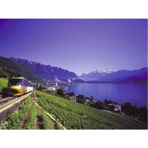 스위스 로잔 치즈와 초콜릿 시음이 포함된 그뤼에르 투어 솔직 후기 | 실사용자 리뷰 분석 - 대표 이미지