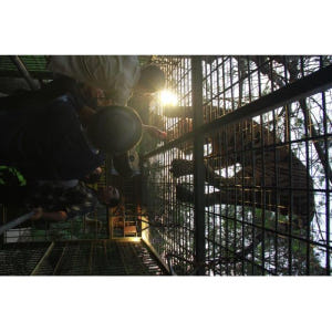 인도네시아 발리 사파리 & 해양 공원 나이트 사파리 솔직 후기 | 실사용자 리뷰 분석 - 상품 이미지 3