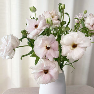 버터플라이 라넌큘러스 꽃다발 꽃배달 싼곳 생화택배 솔직 후기 | 실사용자 리뷰 분석 - 상품 이미지 4