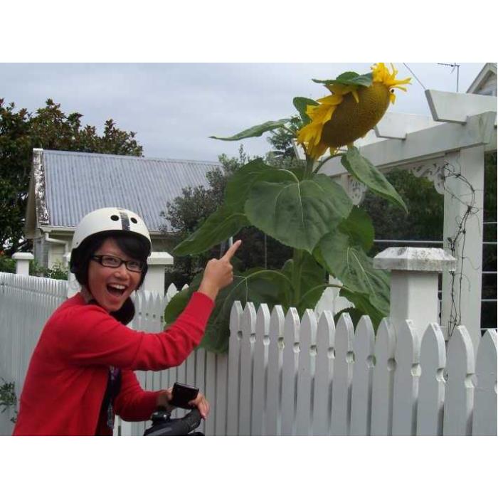 뉴질랜드 오클랜드 데본포트 빌리지 세그웨이 투어 이미지 4