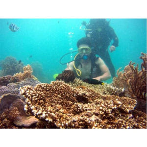 베트남 나트랑 하이라이트 3일 여행 솔직 후기 | 실사용자 리뷰 분석 - 상품 이미지 4