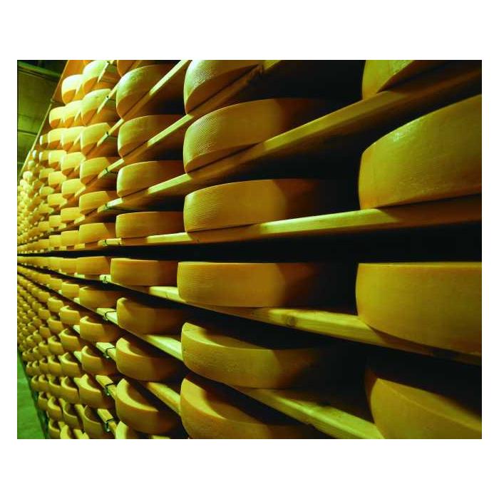 스위스 로잔 치즈와 초콜릿 시음이 포함된 그뤼에르 투어 이미지 3