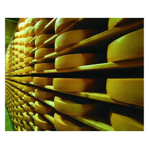 스위스 로잔 치즈와 초콜릿 시음이 포함된 그뤼에르 투어 솔직 후기 | 실사용자 리뷰 분석 - 상품 이미지 3