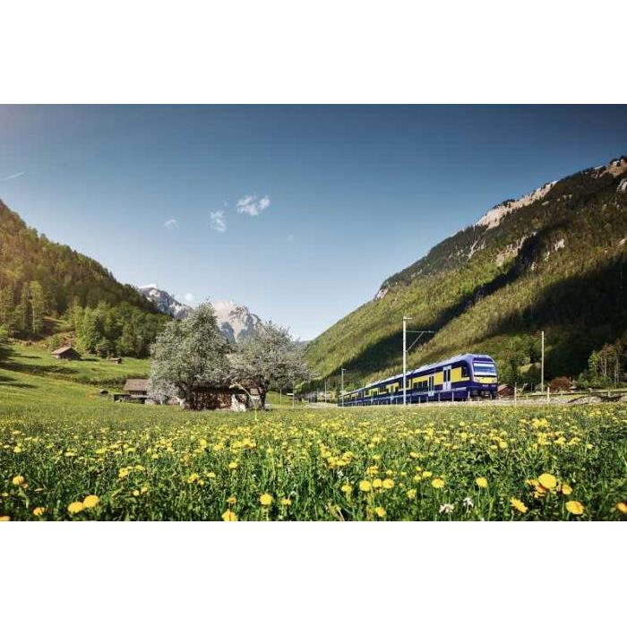 스위스 취리히 출발 버스와 기차로 떠나는 그린델발트 & 인터라켄 당일 여행 이미지 2