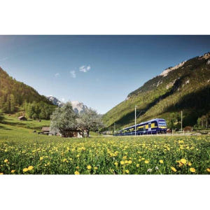 스위스 취리히 출발 버스와 기차로 떠나는 그린델발트 & 인터라켄 당일 여... 솔직 후기 | 실사용자 리뷰 분석 - 상품 이미지 2