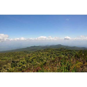 탄자니아 아루샤 또는 모시에서 출발하는 킬리만자로 산 당일 여행 트레킹 솔직 후기 | 실사용자 리뷰 분석 - 상품 이미지 1