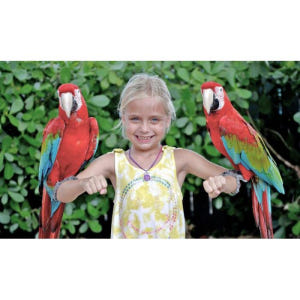 미국 플로리다 올랜도 고시티(Go City Orlando) 올인클루시브 ... 솔직 후기 | 실사용자 리뷰 분석 - 상품 이미지 3