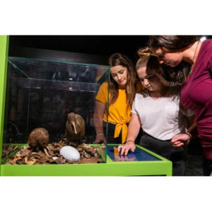 뉴질랜드 로터루아 국립 키위 부화장 투어 솔직 후기 | 실사용자 리뷰 분석 - 상품 이미지 4