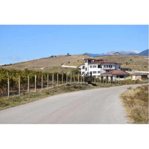 불가리아 멜닉 와인 투어 솔직 후기 | 실사용자 리뷰 분석 - 상품 이미지 3