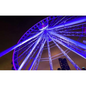 미국 일리노이 시카고 네이비 피어 센테니얼 휠 솔직 후기 | 실사용자 리뷰 분석 - 상품 이미지 1