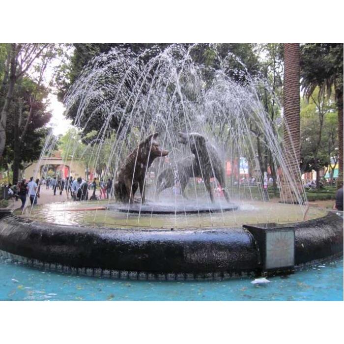 멕시코 멕시코시티 프리다 칼로 박물관, 코요아칸, 소치밀코 이미지 3