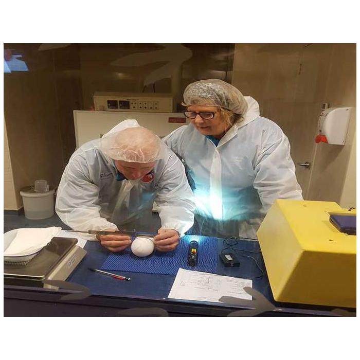 뉴질랜드 로터루아 국립 키위 부화장 투어