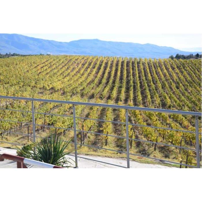 불가리아 멜닉 와인 투어 이미지 4