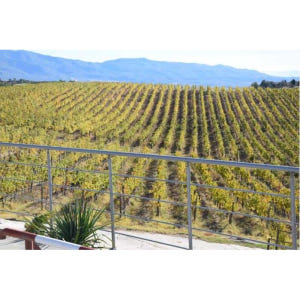 불가리아 멜닉 와인 투어 솔직 후기 | 실사용자 리뷰 분석 - 상품 이미지 4