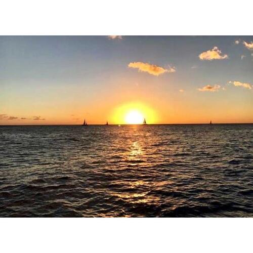 미국 하와이 오아후 와이키키 유리 바닥 보트 선셋 크루즈