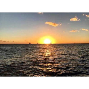 미국 하와이 오아후 와이키키 유리 바닥 보트 선셋 크루즈 솔직 후기 | 실사용자 리뷰 분석 - 상품 이미지 1