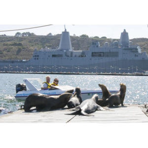 미국 캘리포니아 샌디에이고 스피드 보트 어드벤처 솔직 후기 | 실사용자 리뷰 분석 - 상품 이미지 2