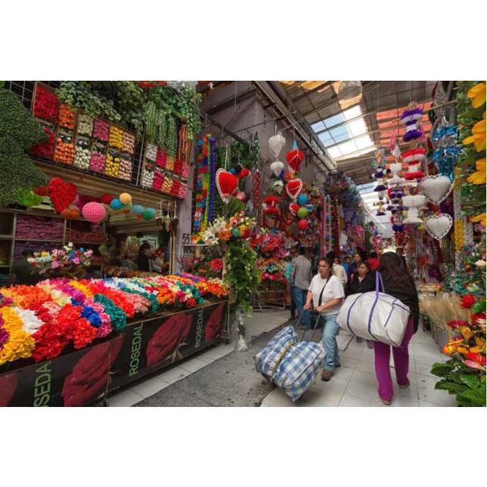 멕시코 멕시코시티 프리다 칼로 박물관, 코요아칸, 소치밀코 이미지 4