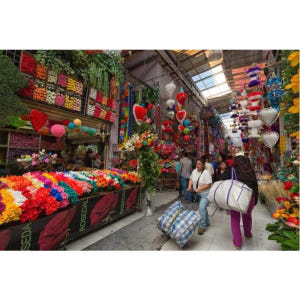 멕시코 멕시코시티 프리다 칼로 박물관, 코요아칸, 소치밀코 솔직 후기 | 실사용자 리뷰 분석 - 상품 이미지 4