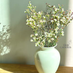 리틀캠든 왁스플라워 소형 생화 합리적인 온라인꽃집 솔직 후기 | 실사용자 리뷰 분석 - 상품 이미지 1